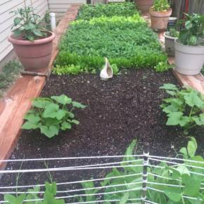 18519716_1356602831090231_572987840373548907_n