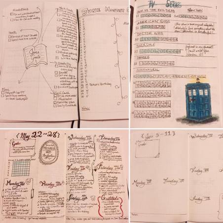 18700697_1366719630078551_7377156388986880193_o