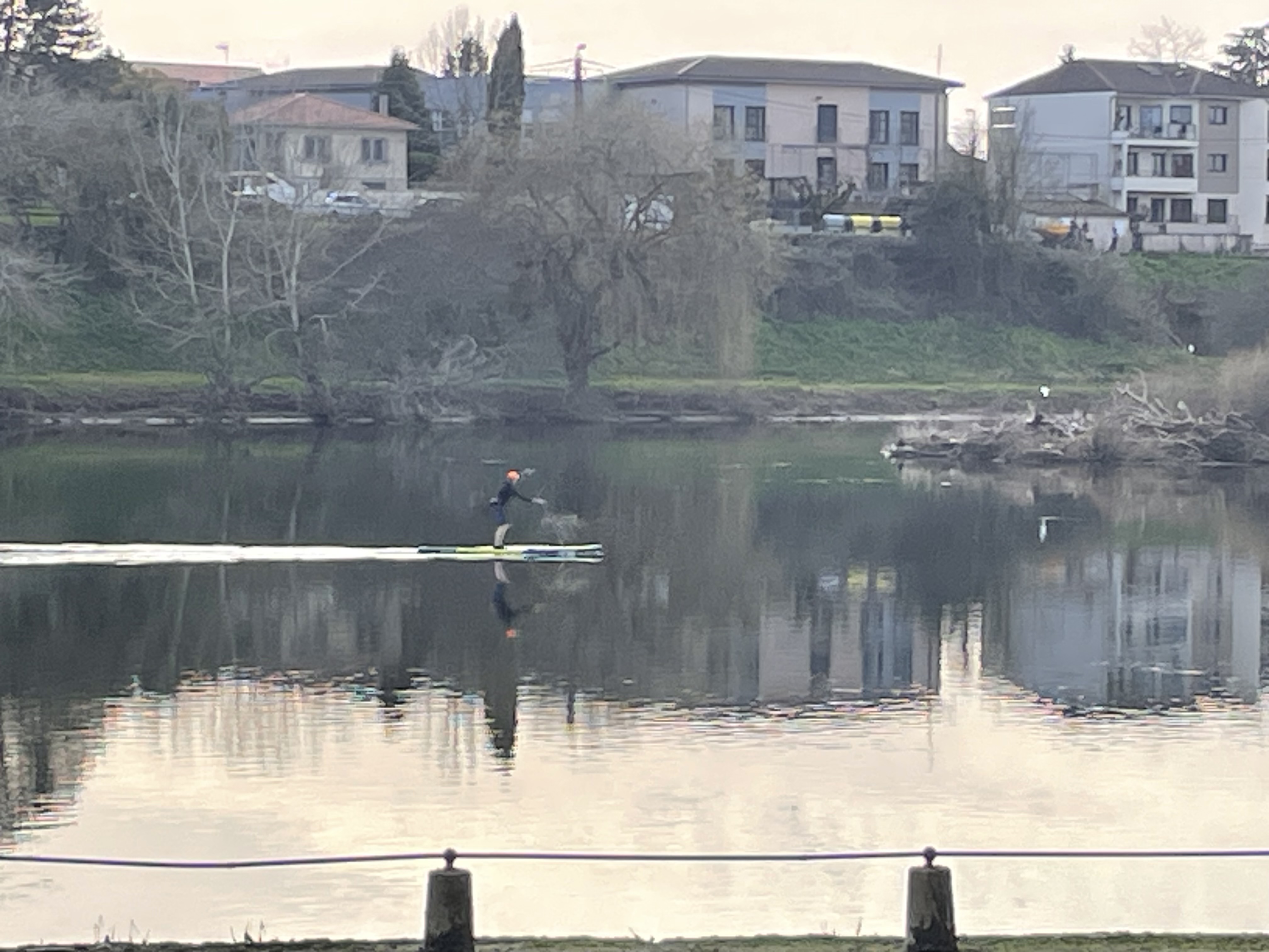 A man on a paddle board rows downstream from left to right in the photo. On the right, the edge of a small island in the middle of the river can be seen where swans, ducks, and herons have their nests. Beyond, the green bank rises up to the city on the far side of the river. Evergreens peek out in darker shades of green, while leafless trees wait for spring.