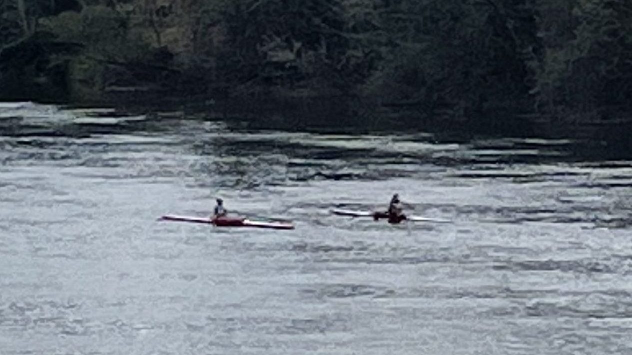 Two narrow sculling boats row upstream on the Dordogne river. The water is moving swiftly, so the one-person boats require a great deal of effort from the female rowers. The boats are moving from right to left in the photo, with the opposite shore seen beyond.